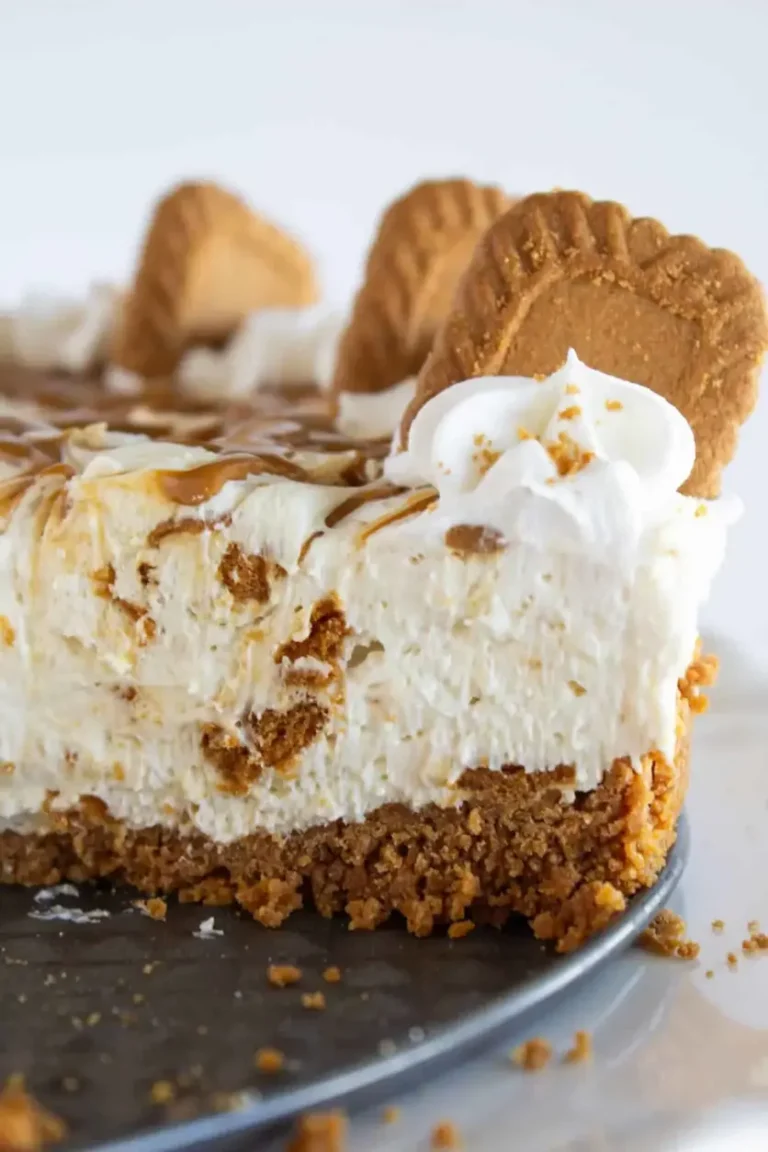 Cookie Butter No Bake Cheesecake | Practically Homemade