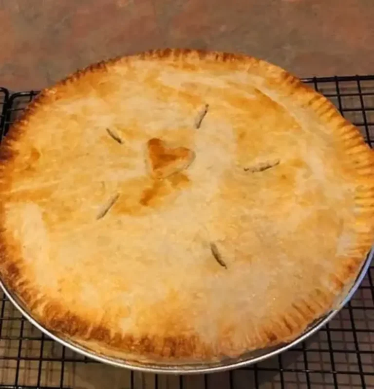 Easy Homemade Chicken Pot Pie Recipe